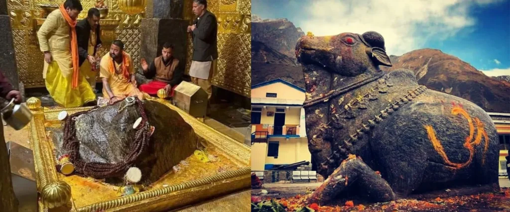 Kedarnath Shivling Jyotirling Image